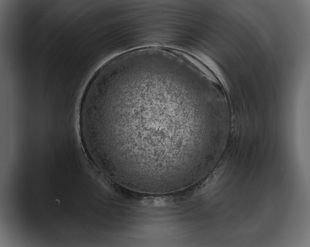 X0000089701051200706281451