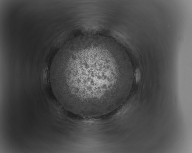 X0000089701059200706281450