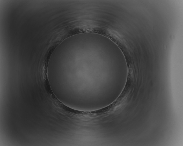 X0000089701060200706281450