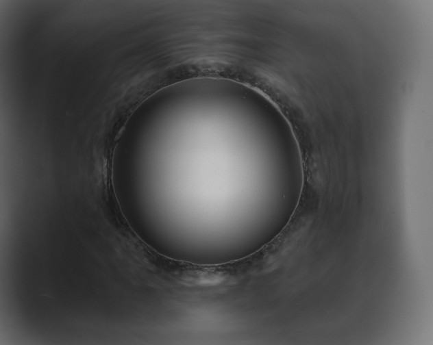 X0000089701061200706281450