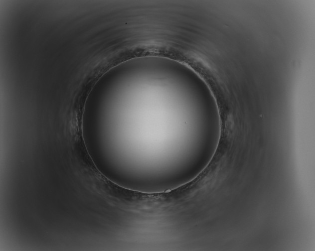 X0000089701062200706281450