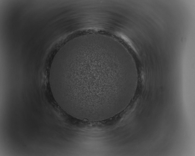 X0000089701064200706281450