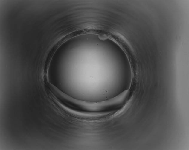 X0000089701065200706281450