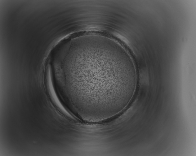 X0000089701066200706281450