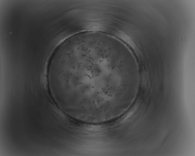 X0000089701071200706281450