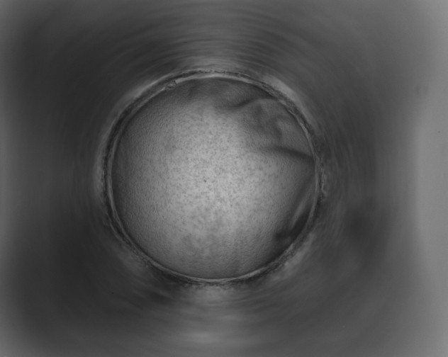 X0000089701074200706281450