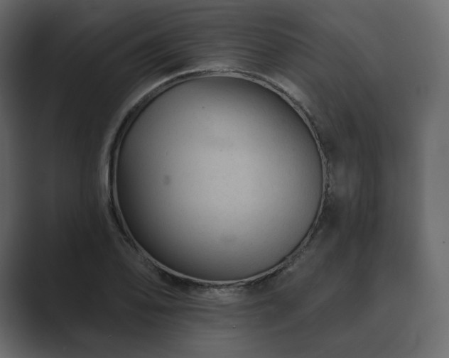 X0000089701078200706281450