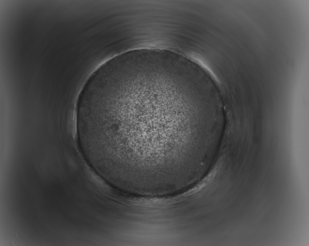 X0000089701079200706281450