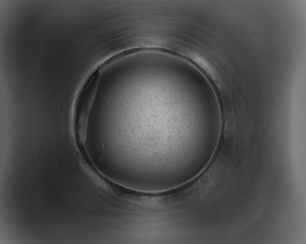 X0000089701080200706281450