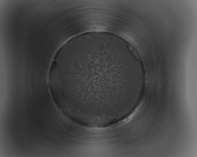 X0000089701081200706281450