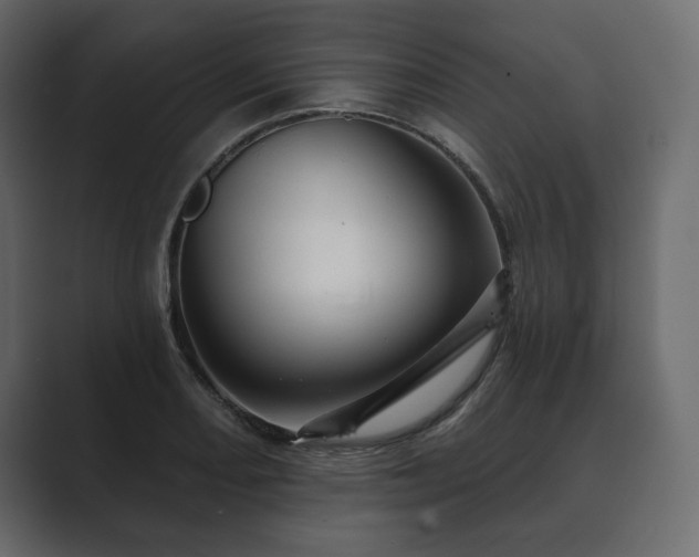 X0000089701082200706281450