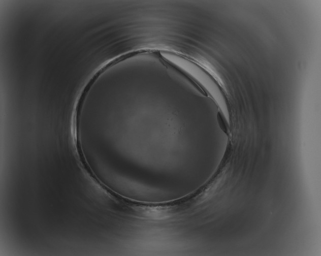 X0000089701084200706281450