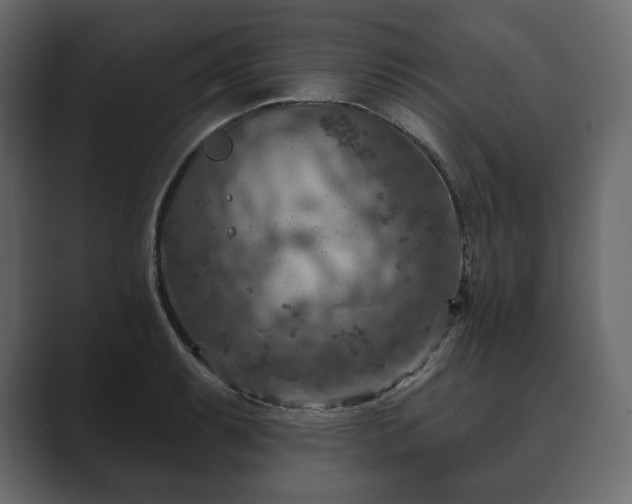 X0000089701087200706281450