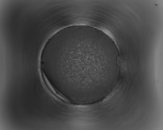 X0000089701088200706281450