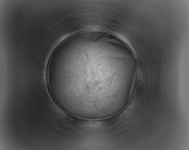 X0000089701090200706281450