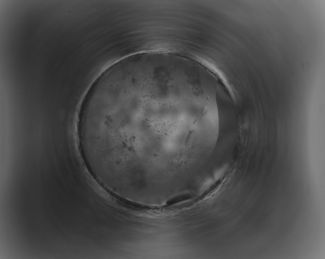 X0000089701091200706281450