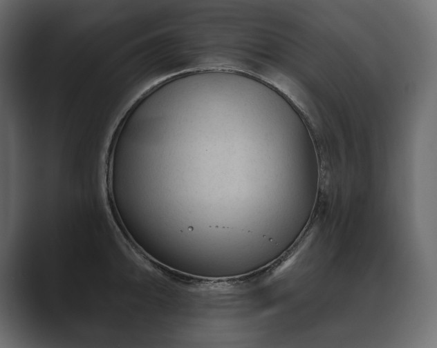 X0000089701094200706281450