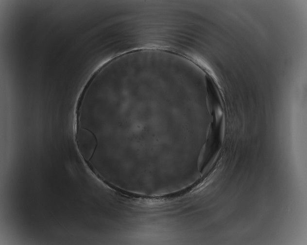 X0000089701095200706281450