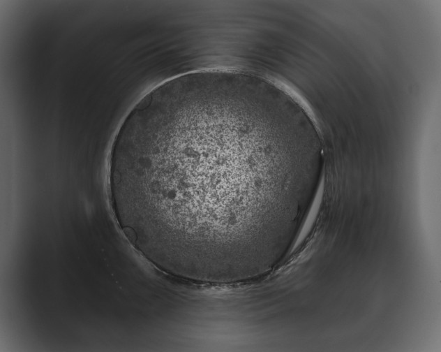 X0000089701099200706281450