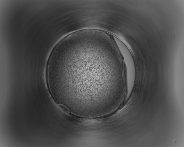 X0000089701100200706281450