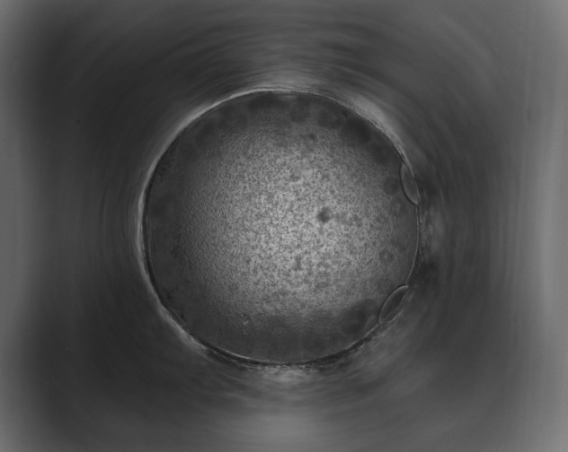 X0000089701103200706281450