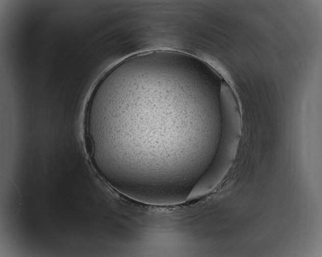 X0000089701104200706281450