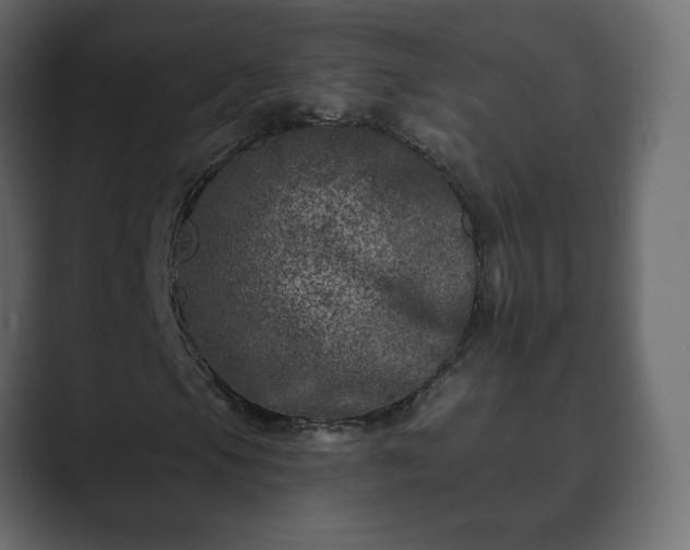 X0000089701105200706281449