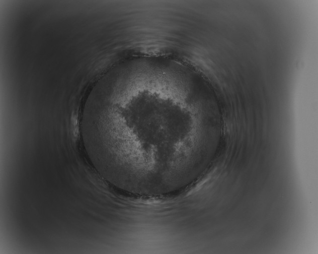 X0000089701106200706281449