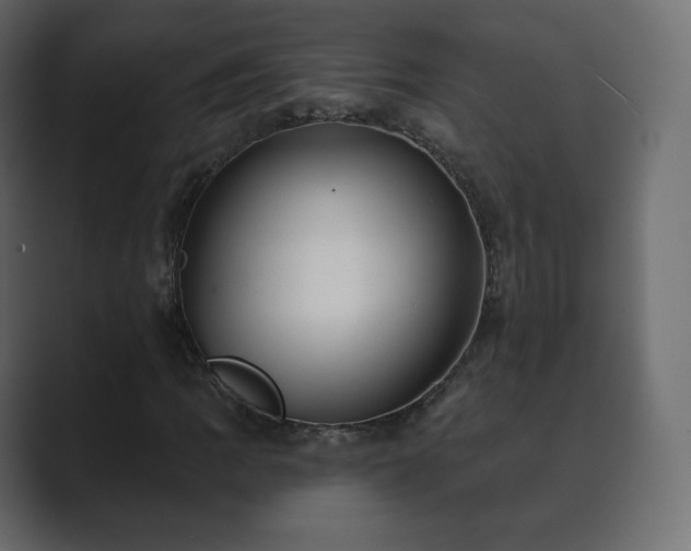 X0000089701109200706281449