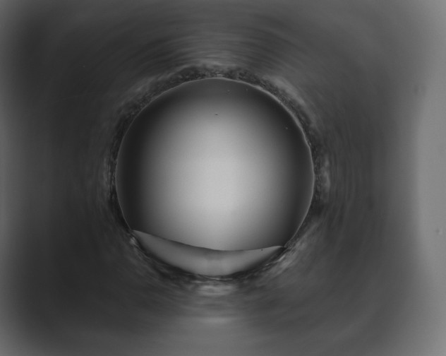 X0000089701110200706281449