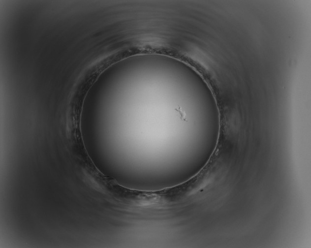 X0000089701112200706281449