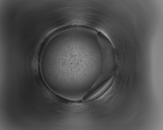 X0000089701115200706281449