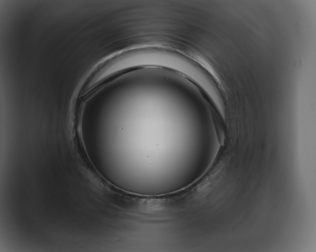 X0000089701116200706281449