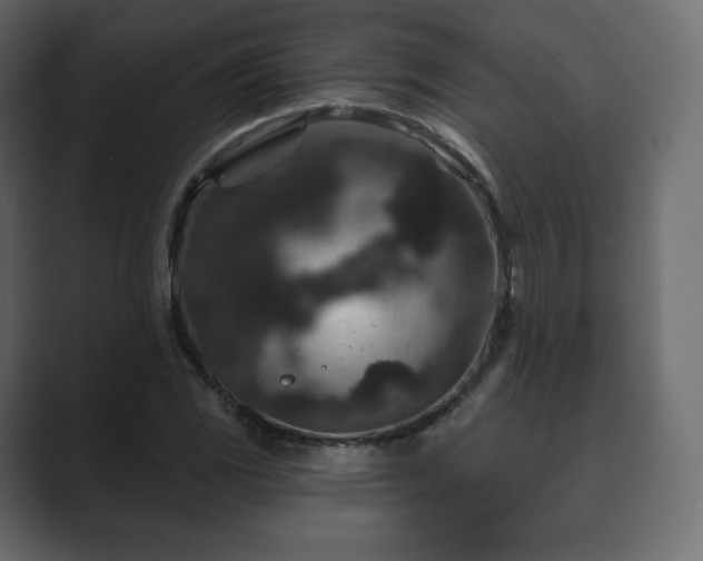 X0000089701117200706281449