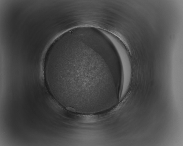 X0000089701120200706281449