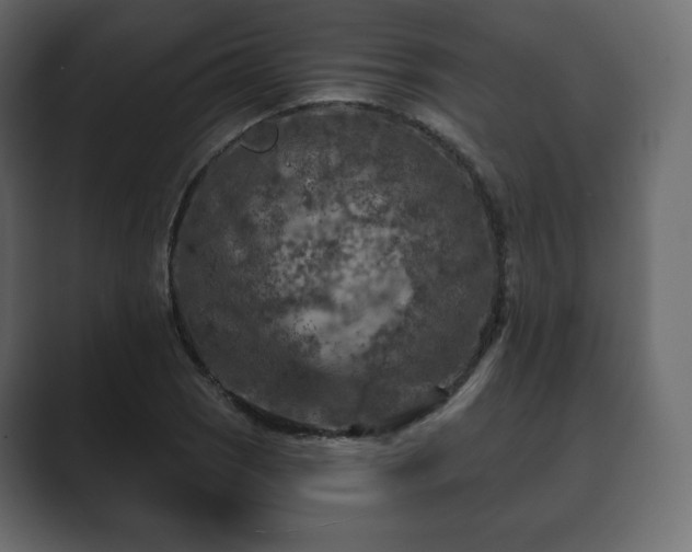 X0000089701121200706281449