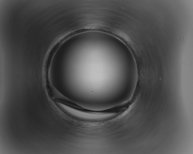 X0000089701122200706281449