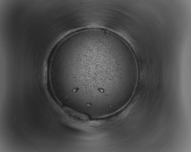 X0000089701126200706281449