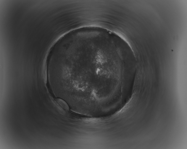 X0000089701127200706281449