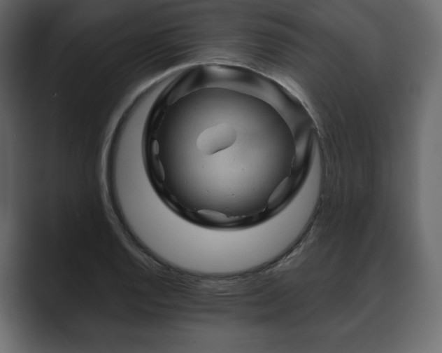 X0000089701128200706281449