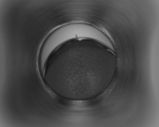 X0000089701132200706281449