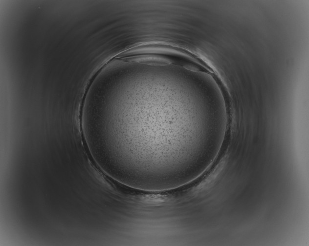 X0000089701137200706281449