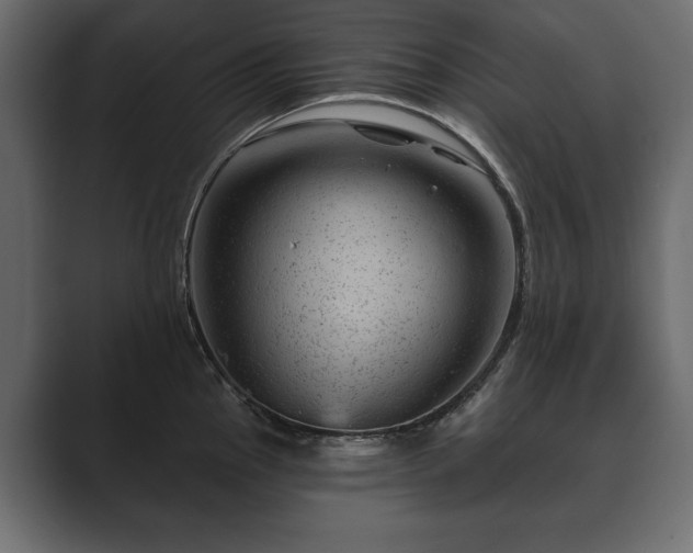 X0000089701145200706281449