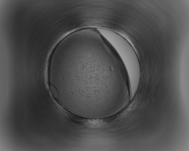 X0000089701147200706281450