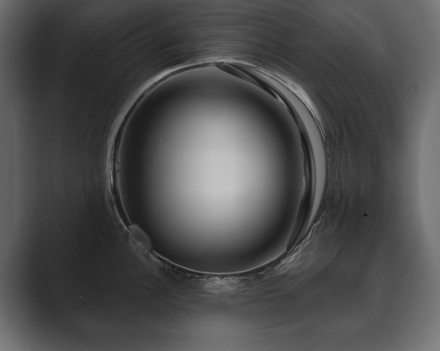 X0000089701148200706281450