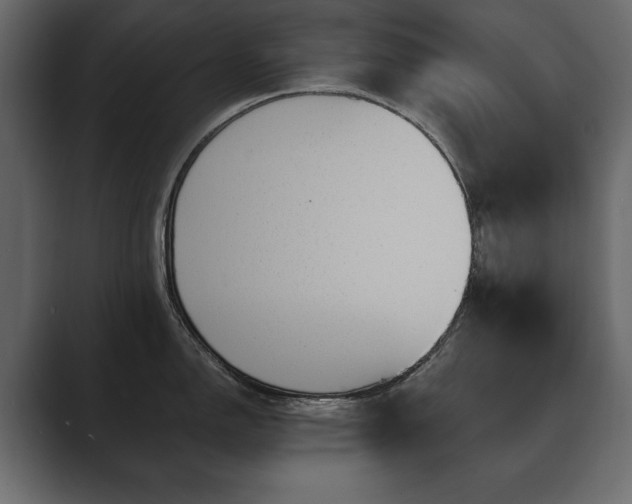 X0000089701150200706281450