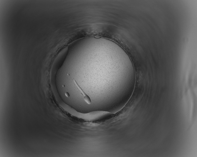 X0000089701153200706281449