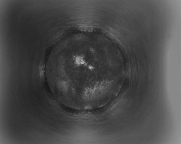 X0000089701154200706281449