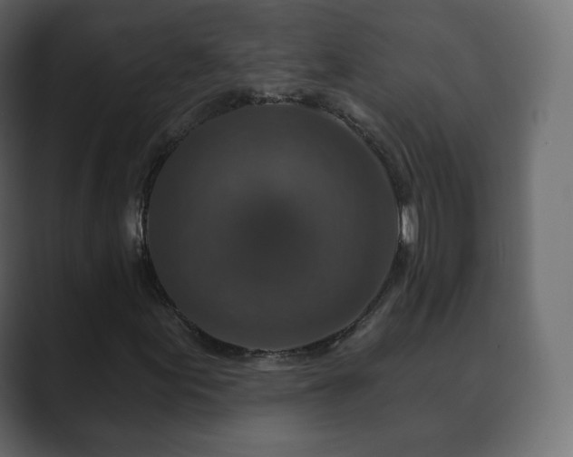 X0000089701155200706281449