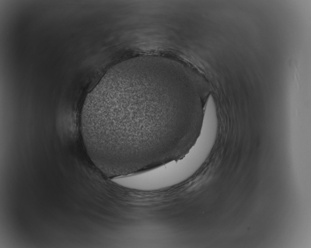 X0000089701156200706281449